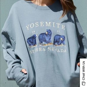 PacSun Brandy Melville Crewneck Sweatshirt